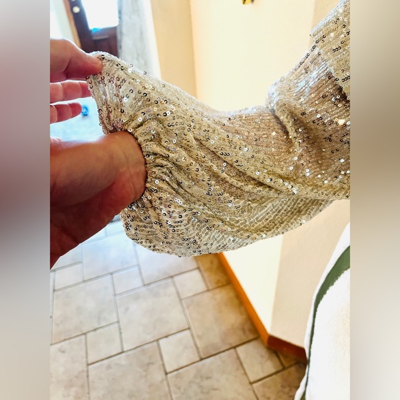 Free People Silver Tiered Ruffle Balloon Sleeve Sequin Flowy Top Size XS NWT - Picture 8 of 13